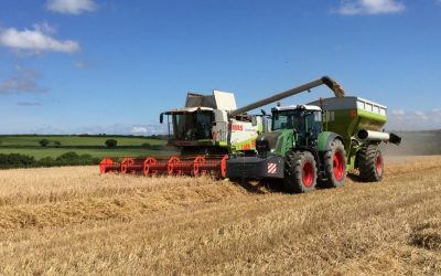 Farm diary – Autumn 2016