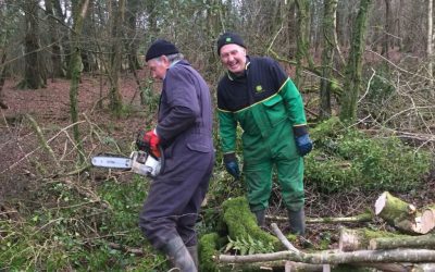 Tree fellas working!